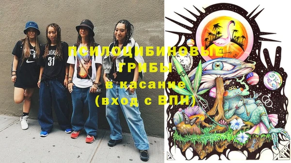 PSILOCYBIN Алзамай