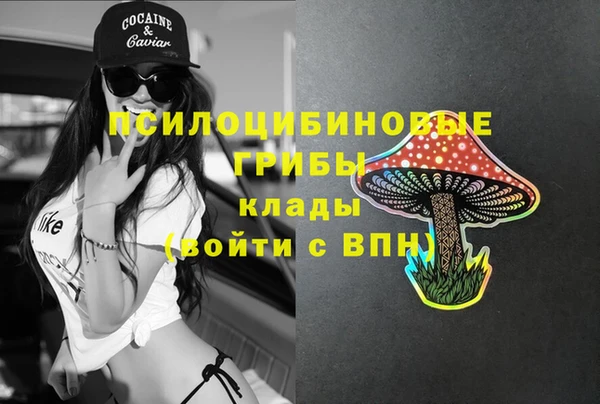 PSILOCYBIN Алзамай