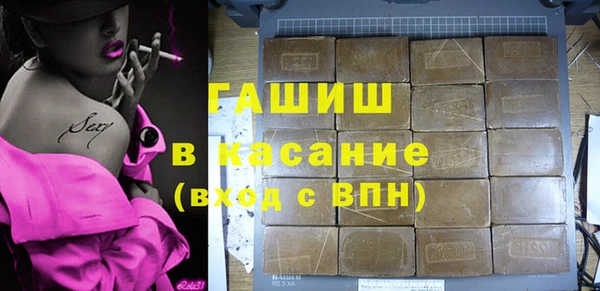 PSILOCYBIN Алзамай